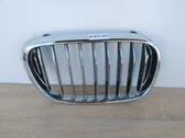 Front bumper lower grill