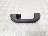 Rear interior roof grab handle