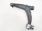 Front lower control arm/wishbone