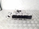 Intake manifold