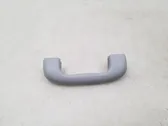 Front interior roof grab handle