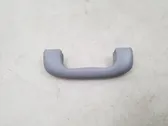 Front interior roof grab handle