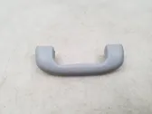 Front interior roof grab handle