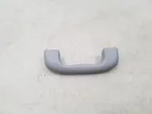 Front interior roof grab handle