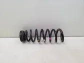 Rear coil spring