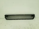 Front bumper lower grill