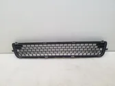 Front bumper lower grill