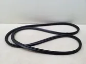 Trunk rubber seal (body)