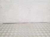 Rear door trim (molding)