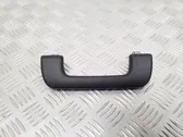 Front interior roof grab handle