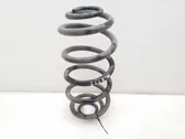 Rear coil spring