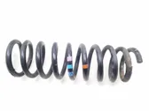 Front coil spring