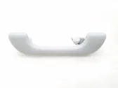 Rear interior roof grab handle