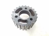 Fuel pump gear (pulley)