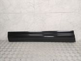 Listón embellecedor de la puerta delantera (moldura)