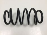 Front coil spring