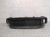 Intercooler air guide/duct channel