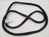 Front door rubber seal