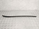 Windshield trim