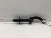 Front shock absorber/damper
