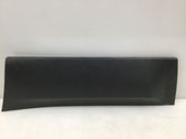 Rear door trim (molding)
