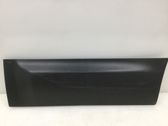 Rear door trim (molding)
