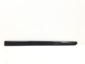 Front door trim (molding)
