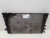 Intercooler radiator