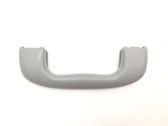 Front interior roof grab handle