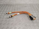 Other wiring loom