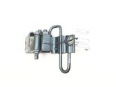 Rear door lower hinge