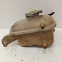 Coolant expansion tank/reservoir