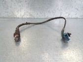 Lambda probe sensor