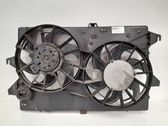 Electric radiator cooling fan