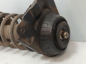 Stoßdämpfer hinten
