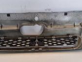 Atrapa chłodnicy / Grill