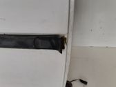 Puerta trasera