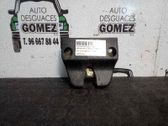 Cierre/cerradura/bombín del maletero/compartimento de carga