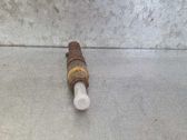 Injecteur de carburant