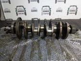 Vilebrequin du moteur