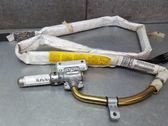 Airbag del techo