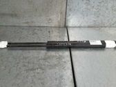 Amortiguador/puntal del maletero/compartimento de carga
