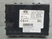 Sonstige Steuergeräte / Module
