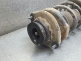Stoßdämpfer hinten