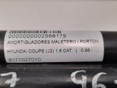 Amortiguador/puntal del maletero/compartimento de carga
