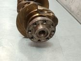 Vilebrequin du moteur