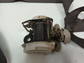 Cinturón trasero