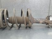 Front shock absorber/damper