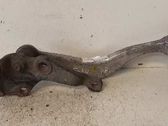 Front lower control arm/wishbone