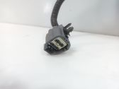Motor y varillaje del limpiaparabrisas delantero